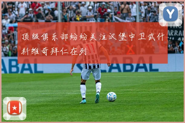 顶级俱乐部纷纷关注汉堡中卫武什科维奇拜仁在列