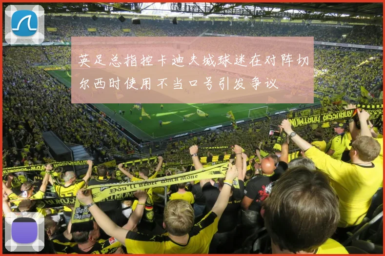 英足总指控卡迪夫城球迷在对阵切尔西时使用不当口号引发争议