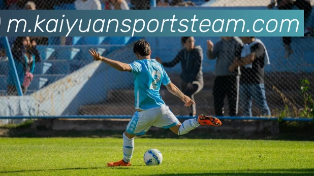 开元体育平台生态图