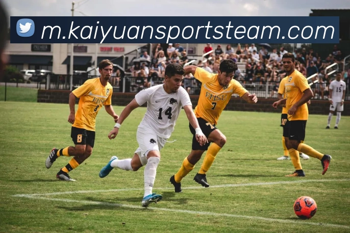 开元体育APP 封面图