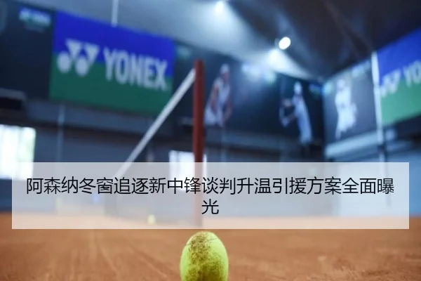阿森纳冬窗追逐新中锋谈判升温引援方案全面曝光 | kaiyuansports
